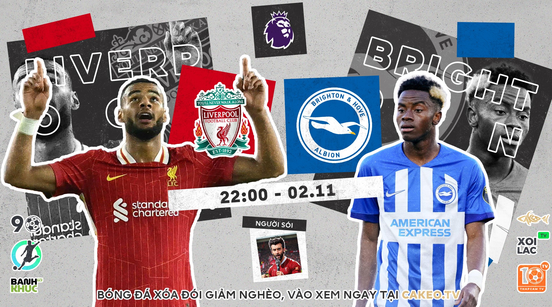 Highlights Liverpool vs Brighton Hove Albion | BLV Người Sói | 2.11.24