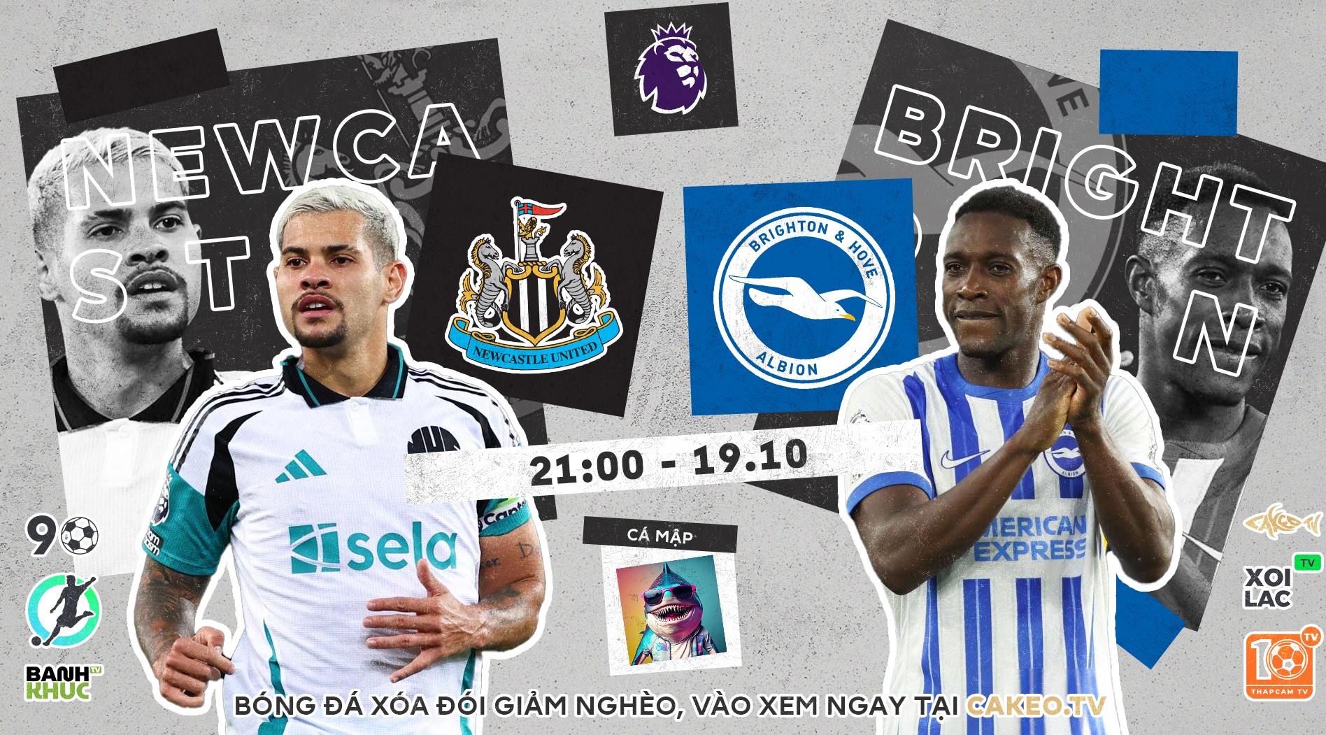 Highlights Newcastle vs Brighton | BLV Cá Mập | 19.10.24