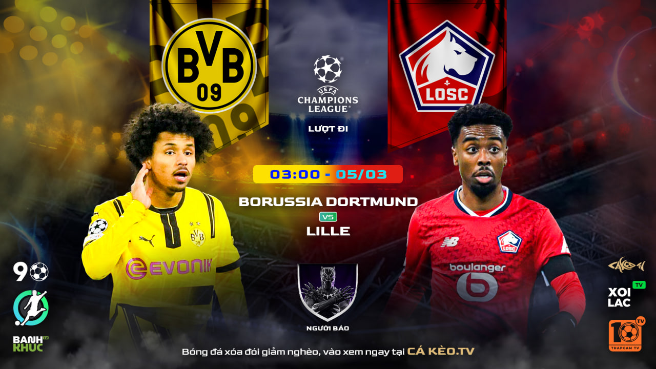 Highligh Borussia Dortmund vs Lille | BLV Người Báo  | 05.03.25